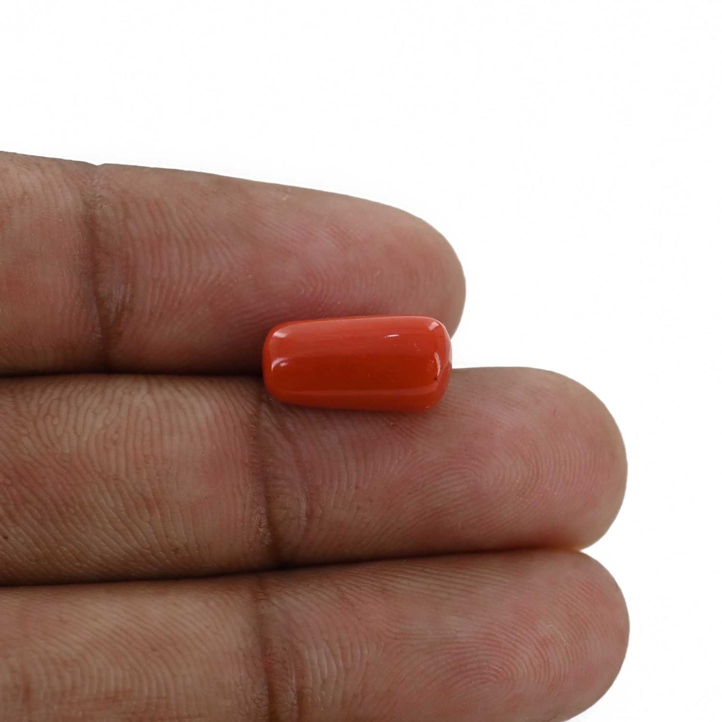 Red Coral (Moonga) - 5.33 Carat
