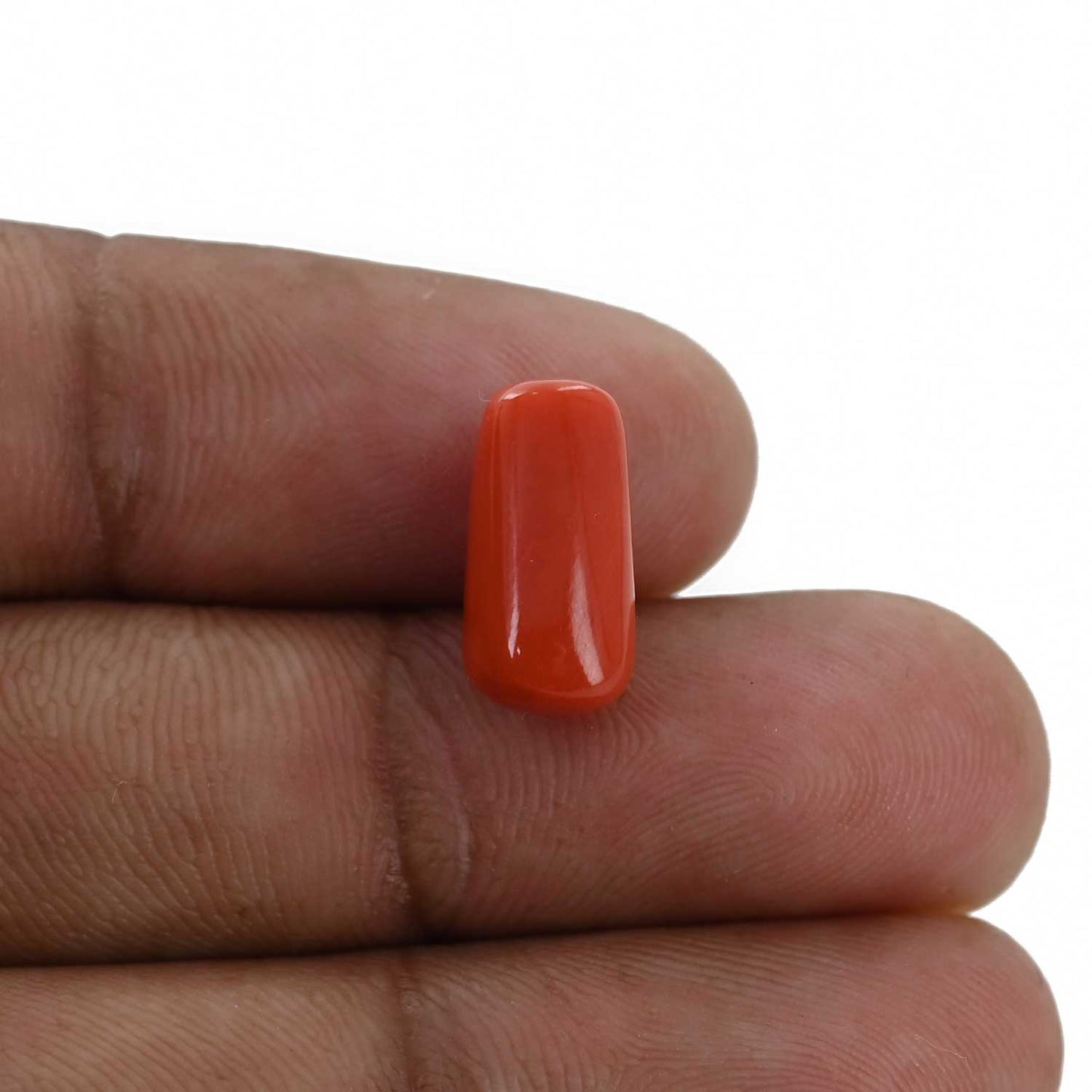 Red Coral (Moonga) - 5.33 Carat