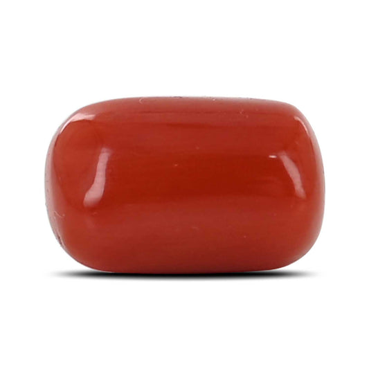 Red Coral (Moonga) - 4.94 Carat