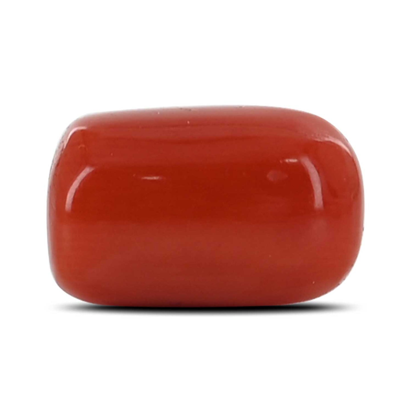 Red Coral (Moonga) - 4.94 Carat