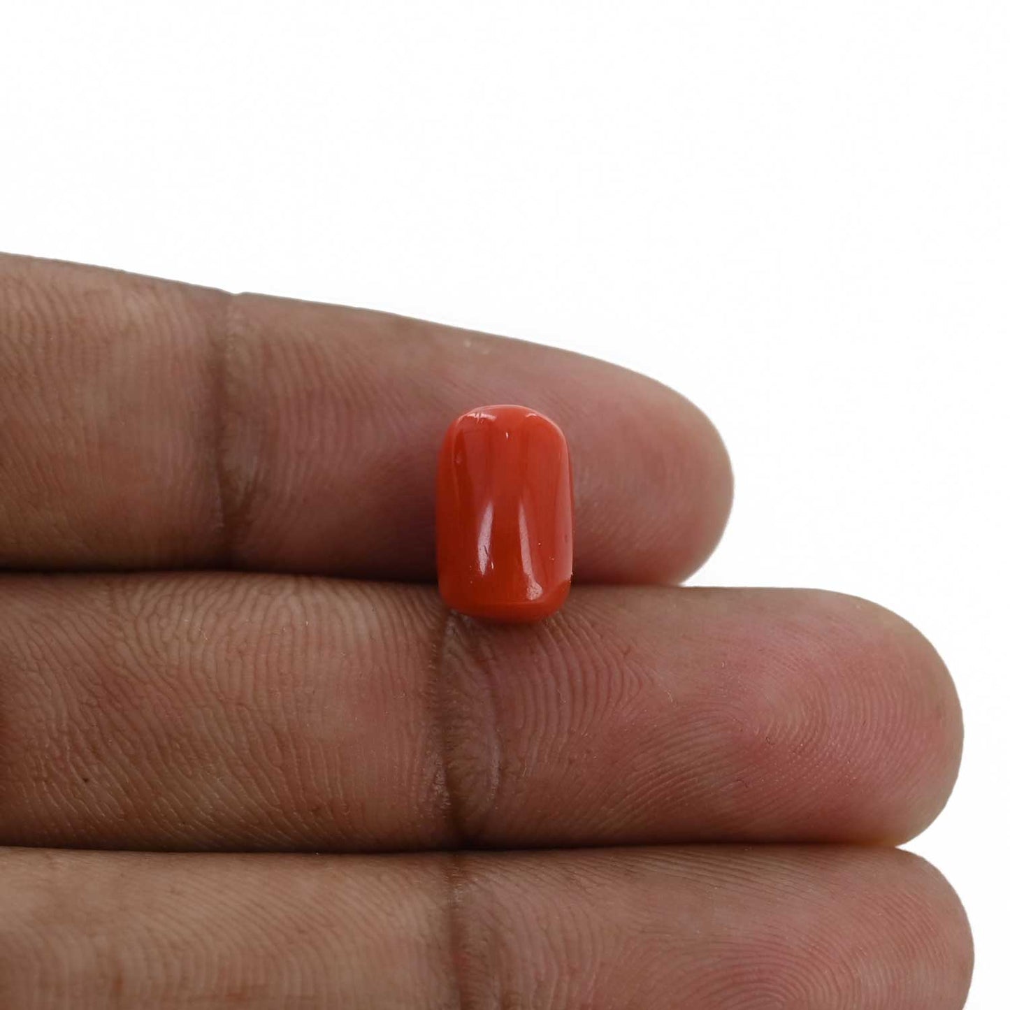 Red Coral (Moonga) - 4.94 Carat