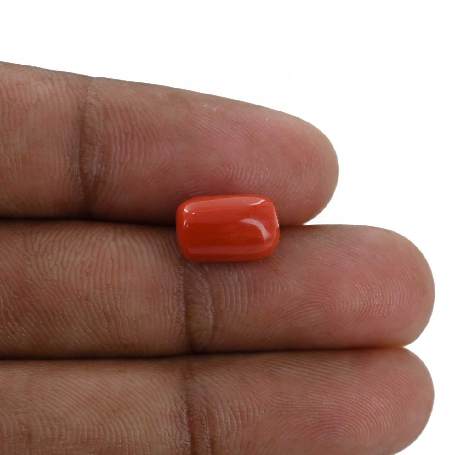 Red Coral (Moonga) - 4.94 Carat