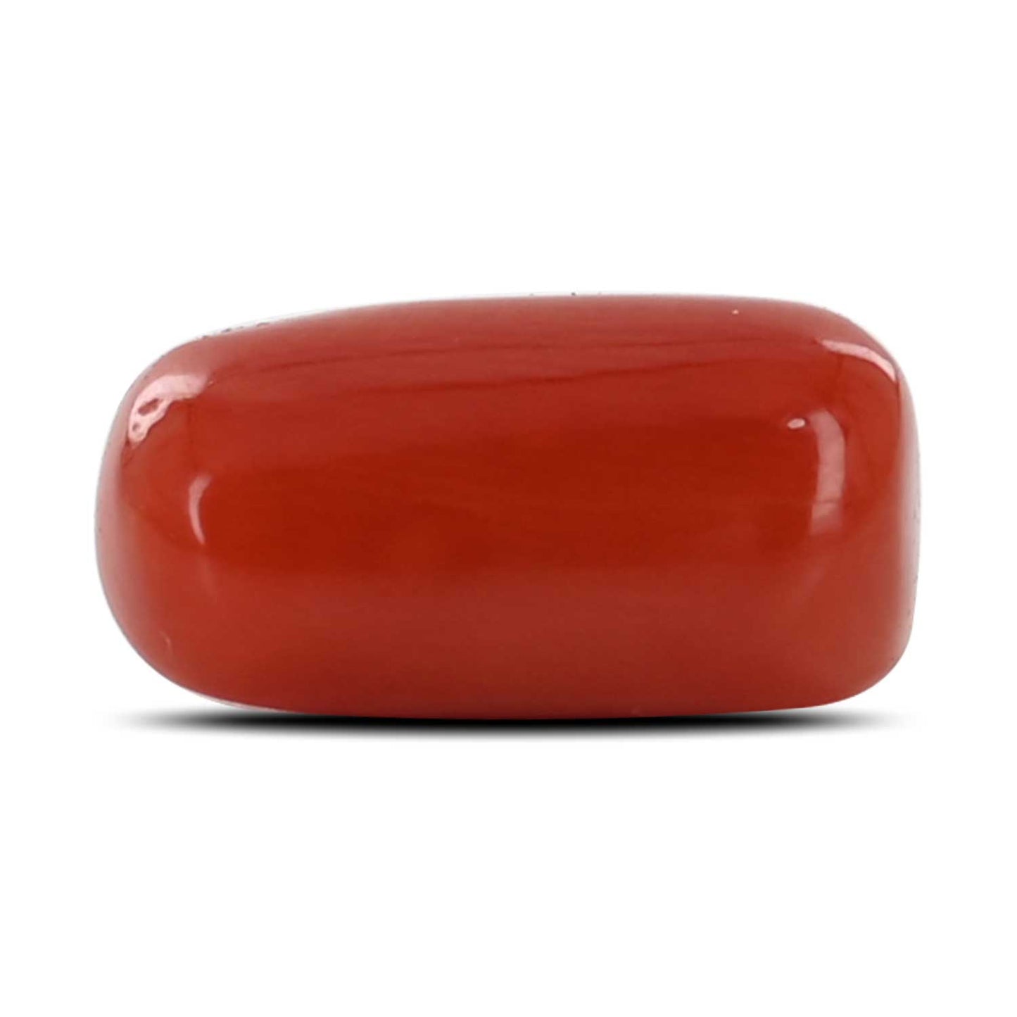 Red Coral (Moonga) - 5.16 Carat