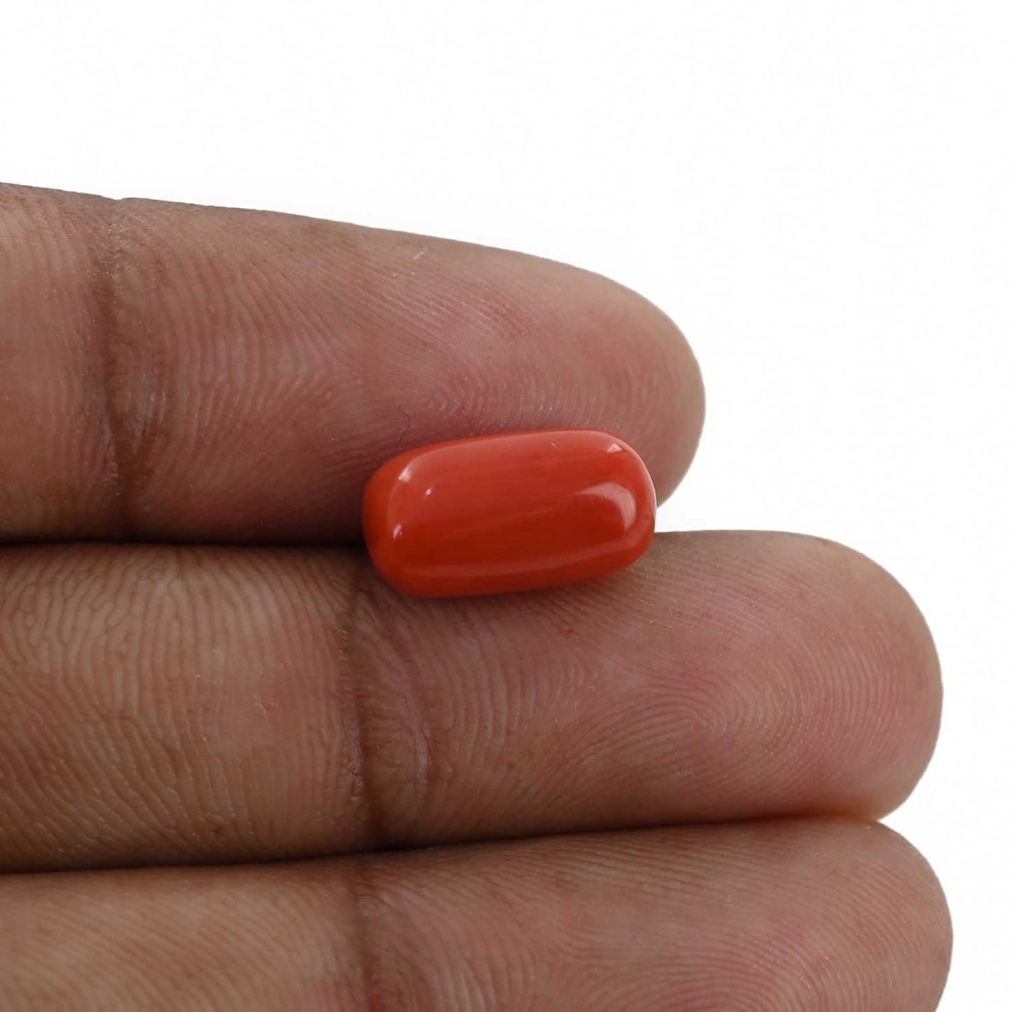 Red Coral (Moonga) - 5.16 Carat