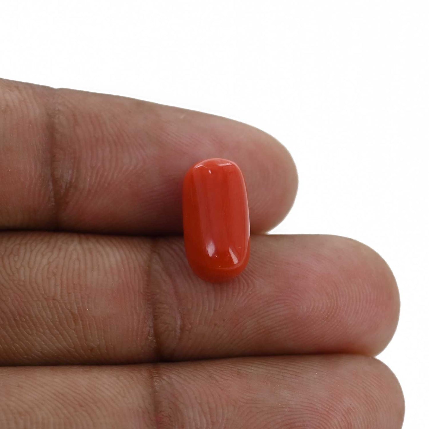 Red Coral (Moonga) - 5.16 Carat