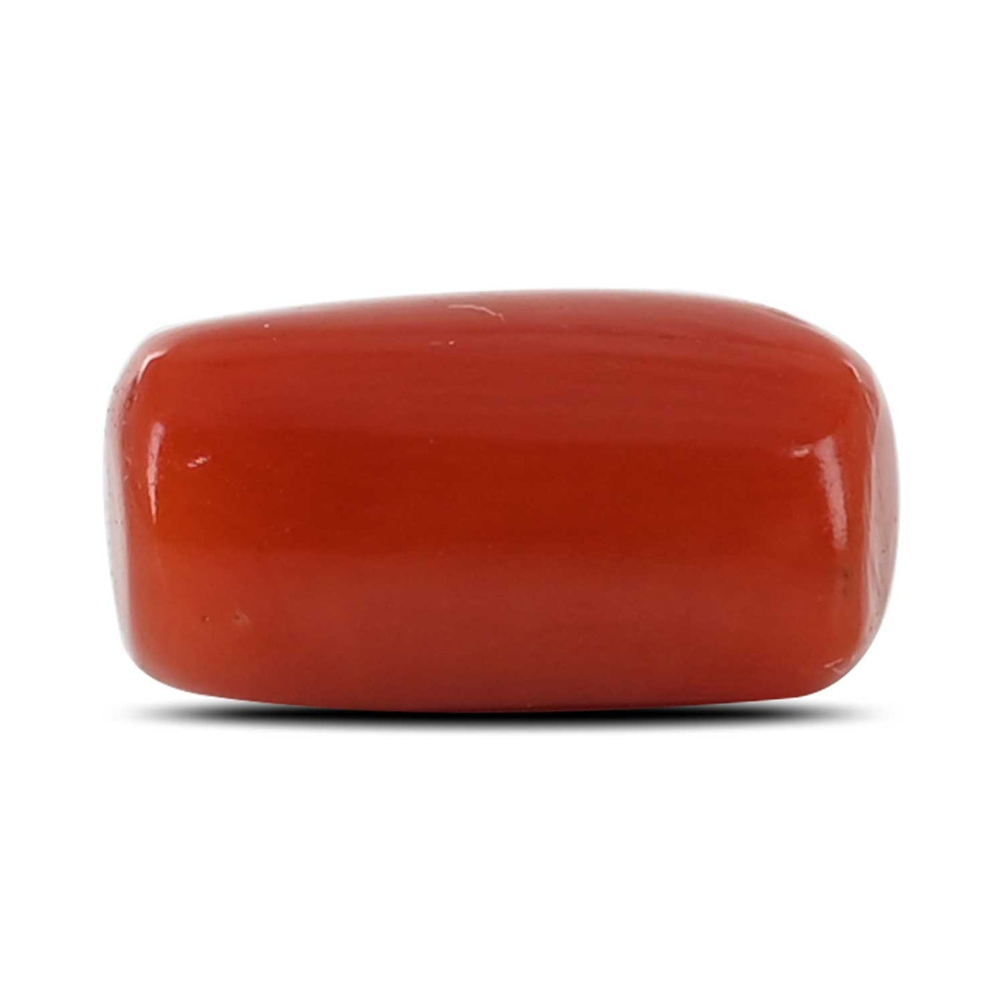 Red Coral (Moonga) - 5.18 Carat