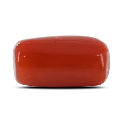 Red Coral (Moonga) - 5.18 Carat