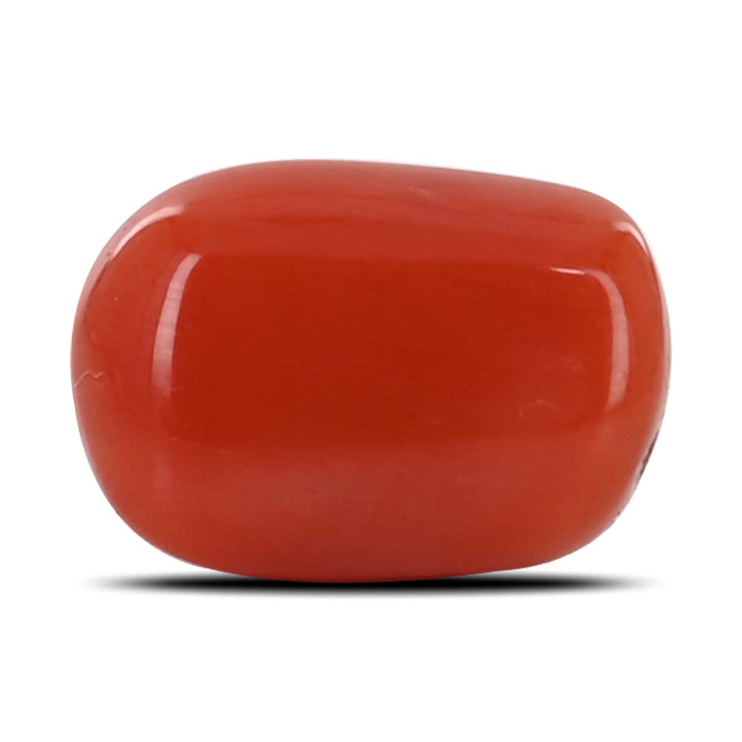 Red Coral (Moonga) - 5.22 Carat