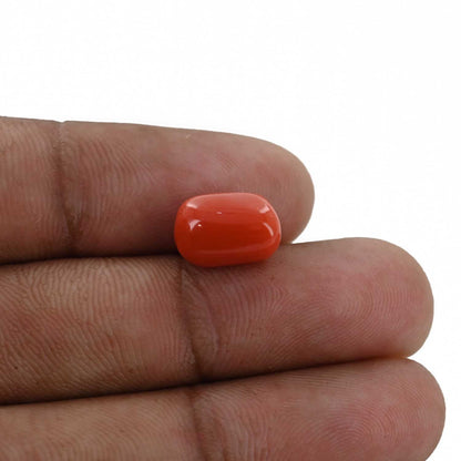 Red Coral (Moonga) - 5.22 Carat