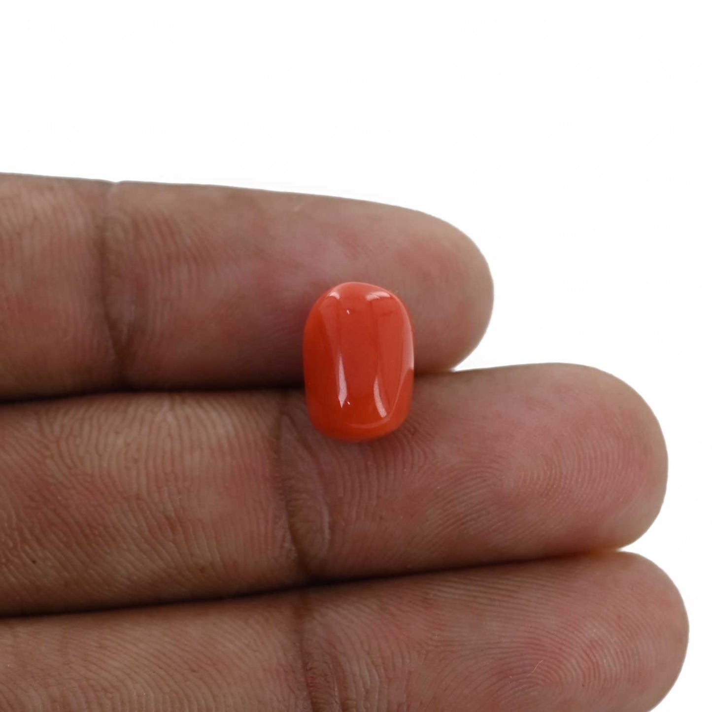 Red Coral (Moonga) - 5.22 Carat