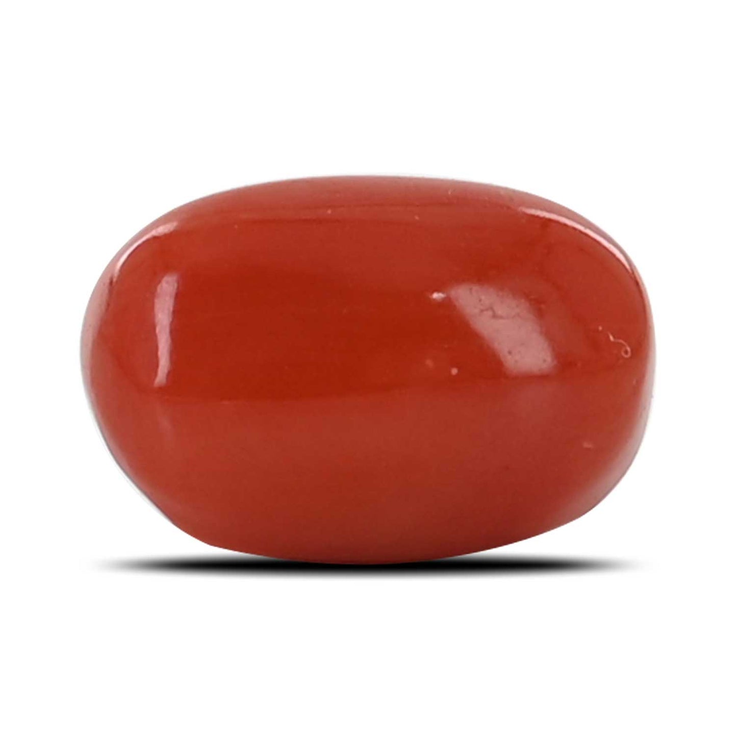 Red Coral (Moonga) - 4.32 Carat