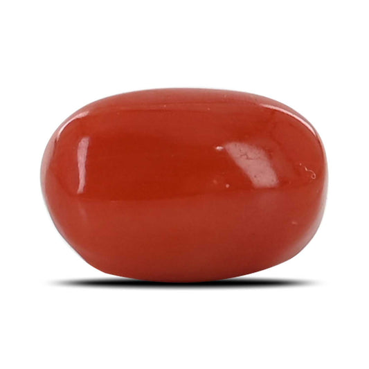 Red Coral (Moonga) - 4.32 Carat