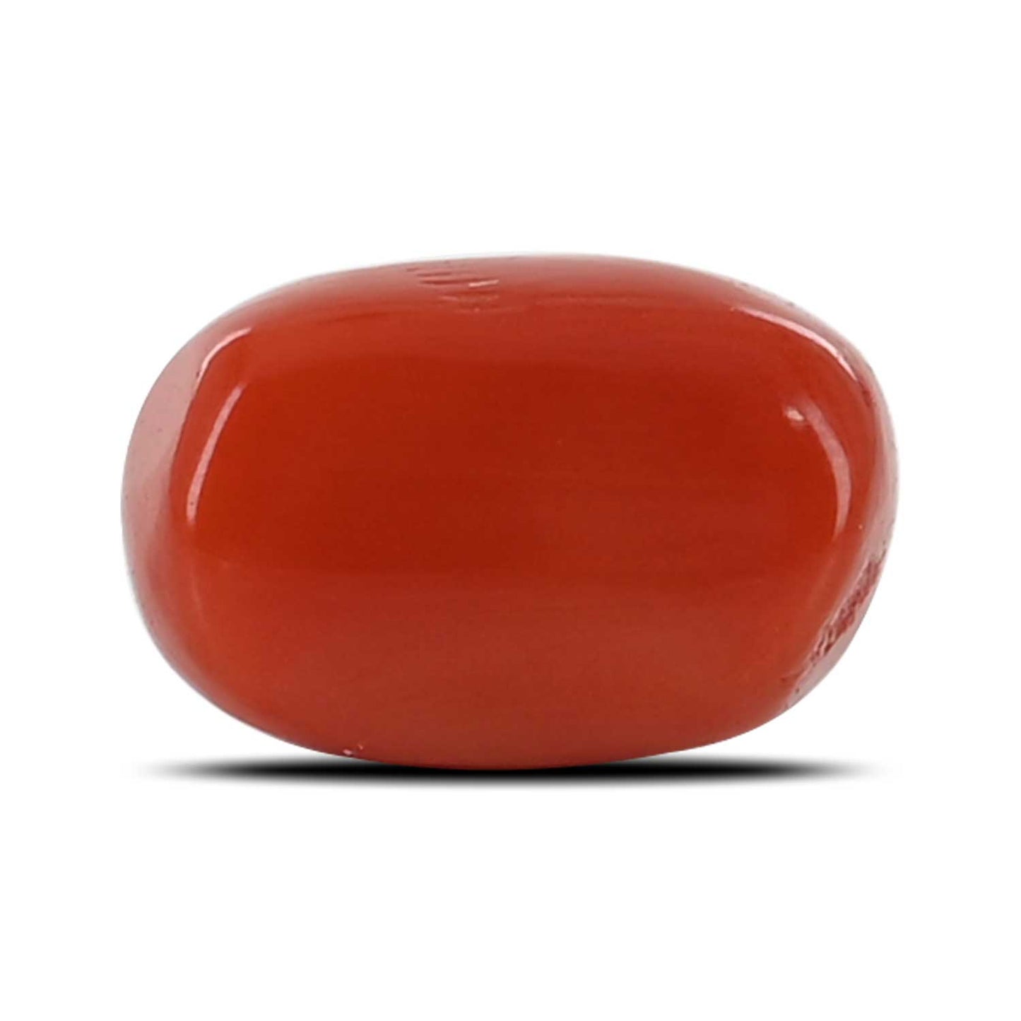 Red Coral (Moonga) - 4.32 Carat