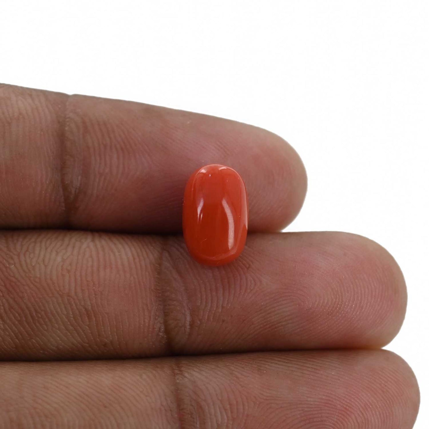 Red Coral (Moonga) - 4.32 Carat