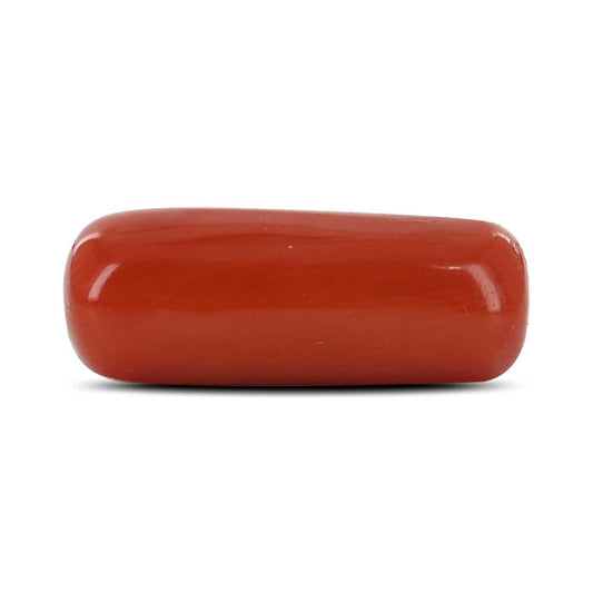 Red Coral (Moonga) - 7.19 Carat