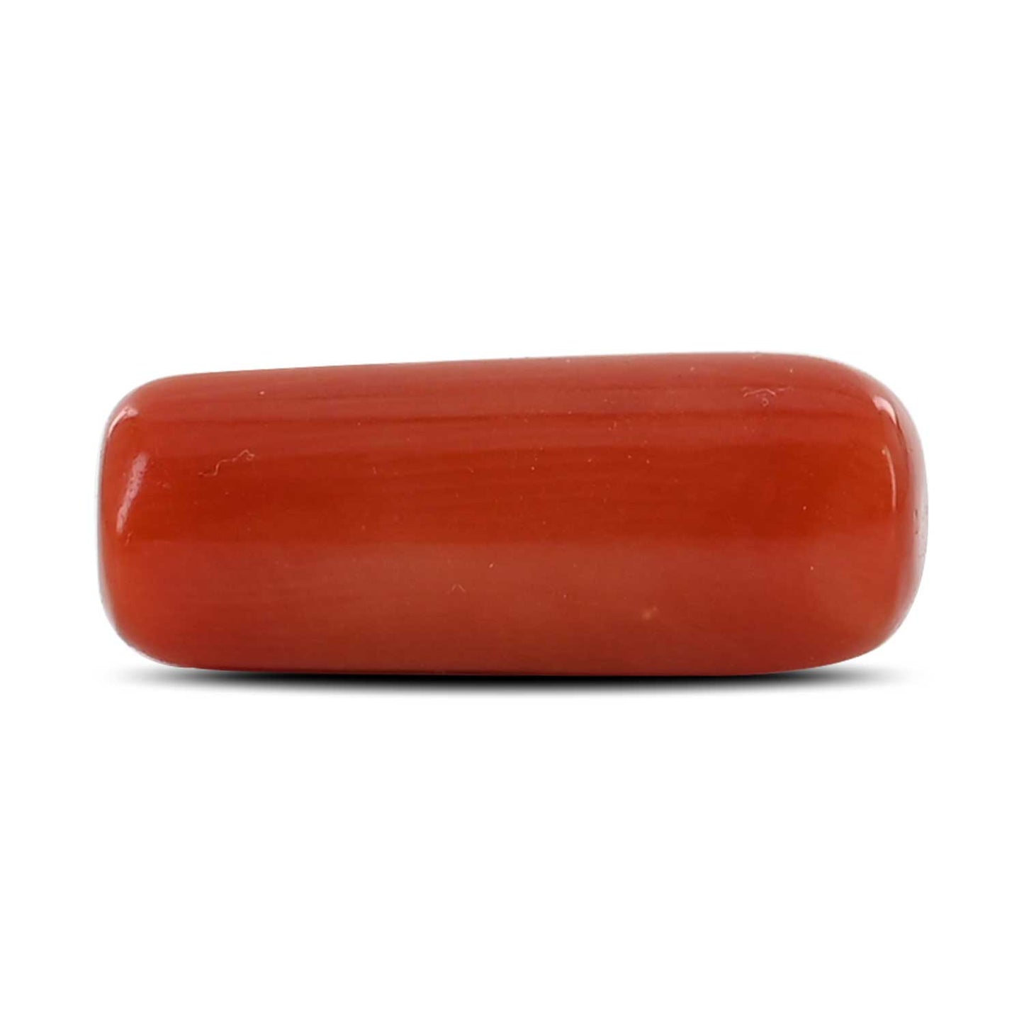 Red Coral (Moonga) - 7.19 Carat