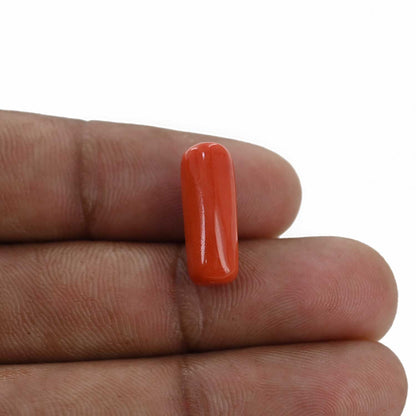 Red Coral (Moonga) - 7.19 Carat