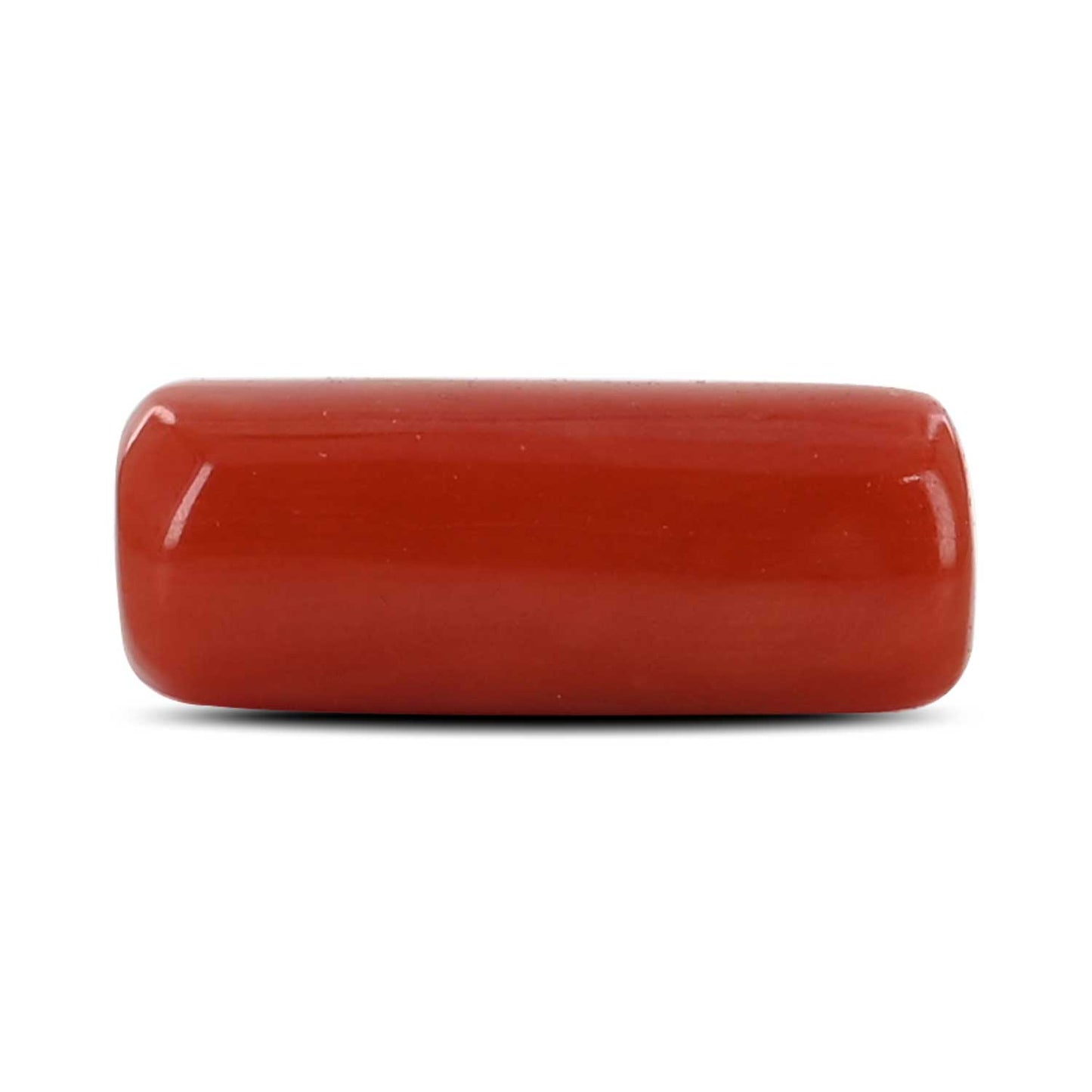 Red Coral (Moonga) - 6.55 Carat