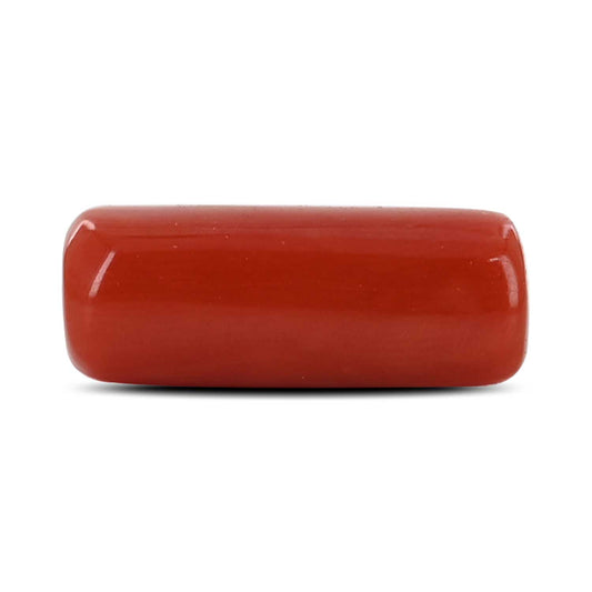 Red Coral (Moonga) - 6.55 Carat