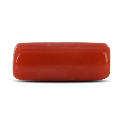 Red Coral (Moonga) - 6.55 Carat