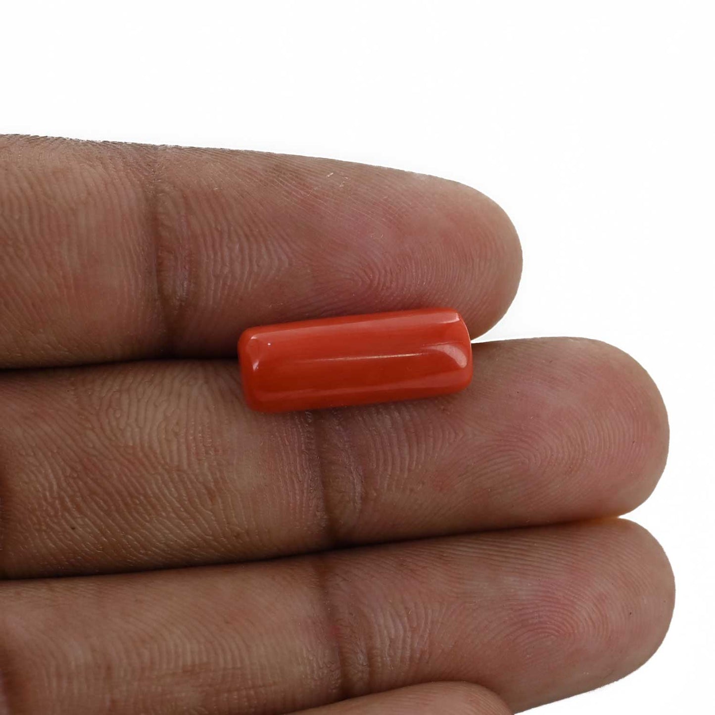 Red Coral (Moonga) - 6.55 Carat