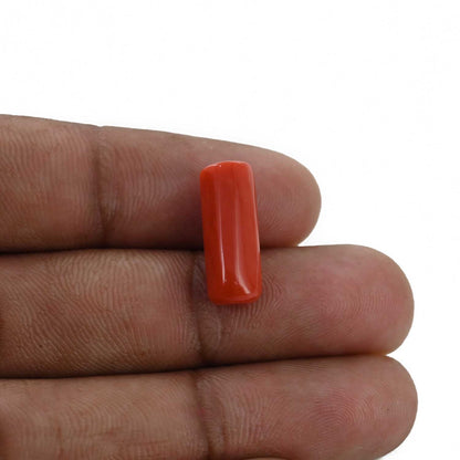 Red Coral (Moonga) - 6.55 Carat