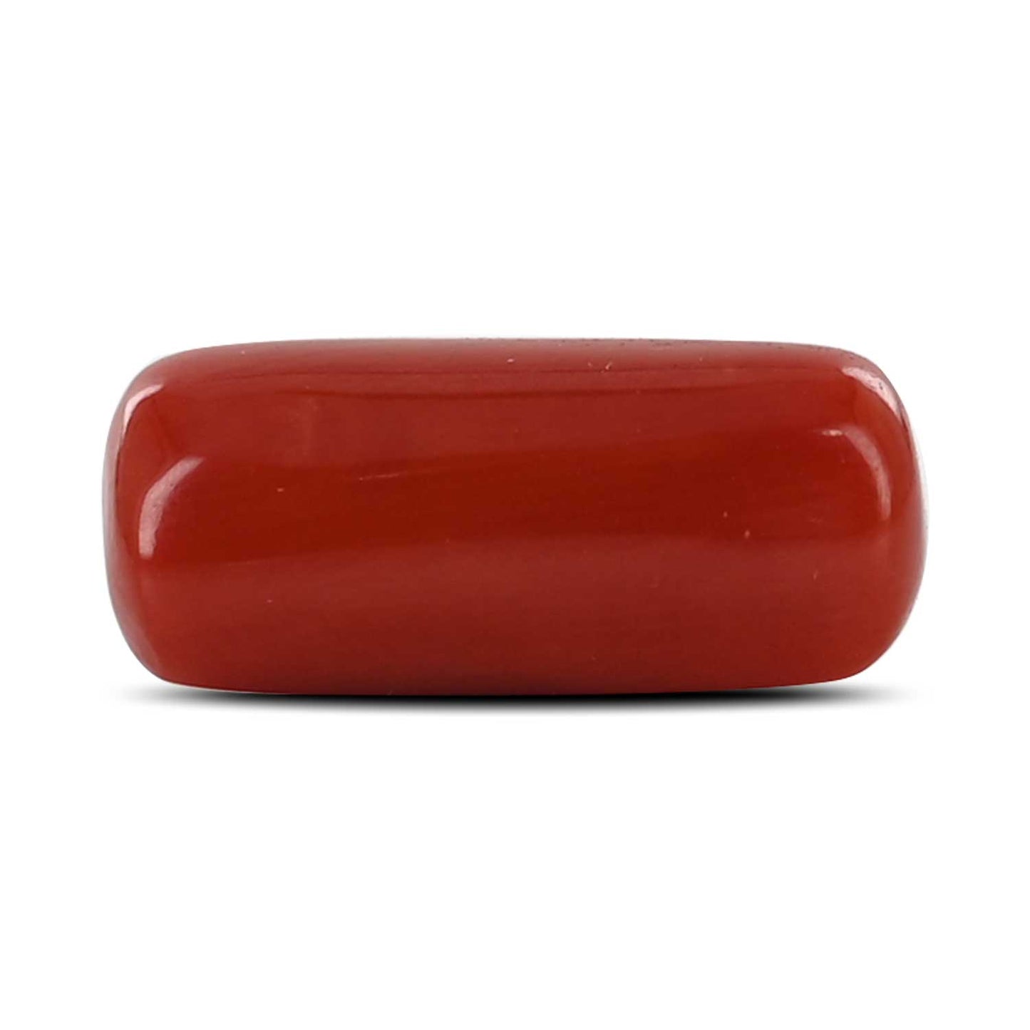 Red Coral (Moonga) - 6.88 Carat