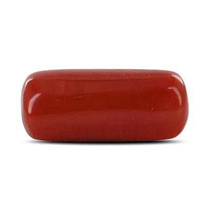 Red Coral (Moonga) - 6.88 Carat