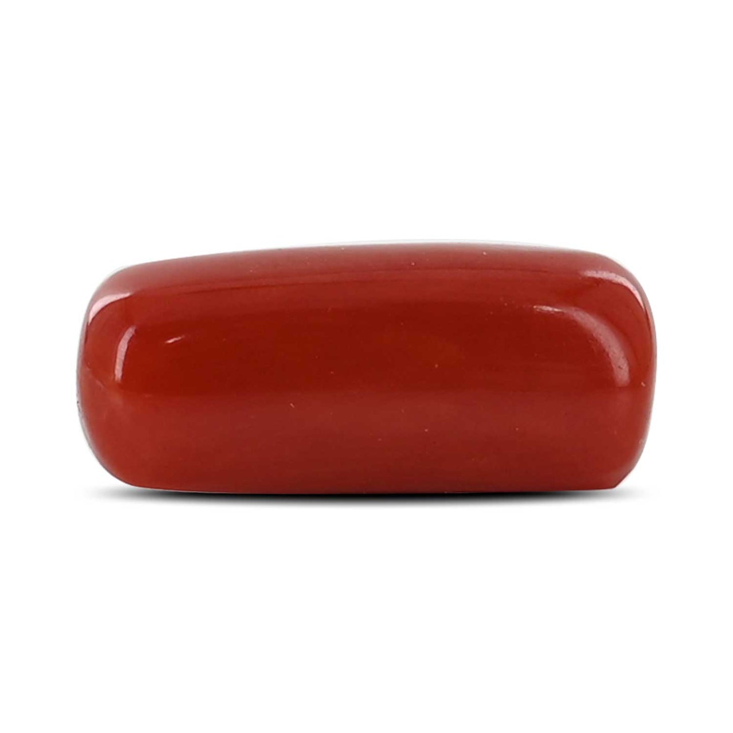 Red Coral (Moonga) - 6.88 Carat