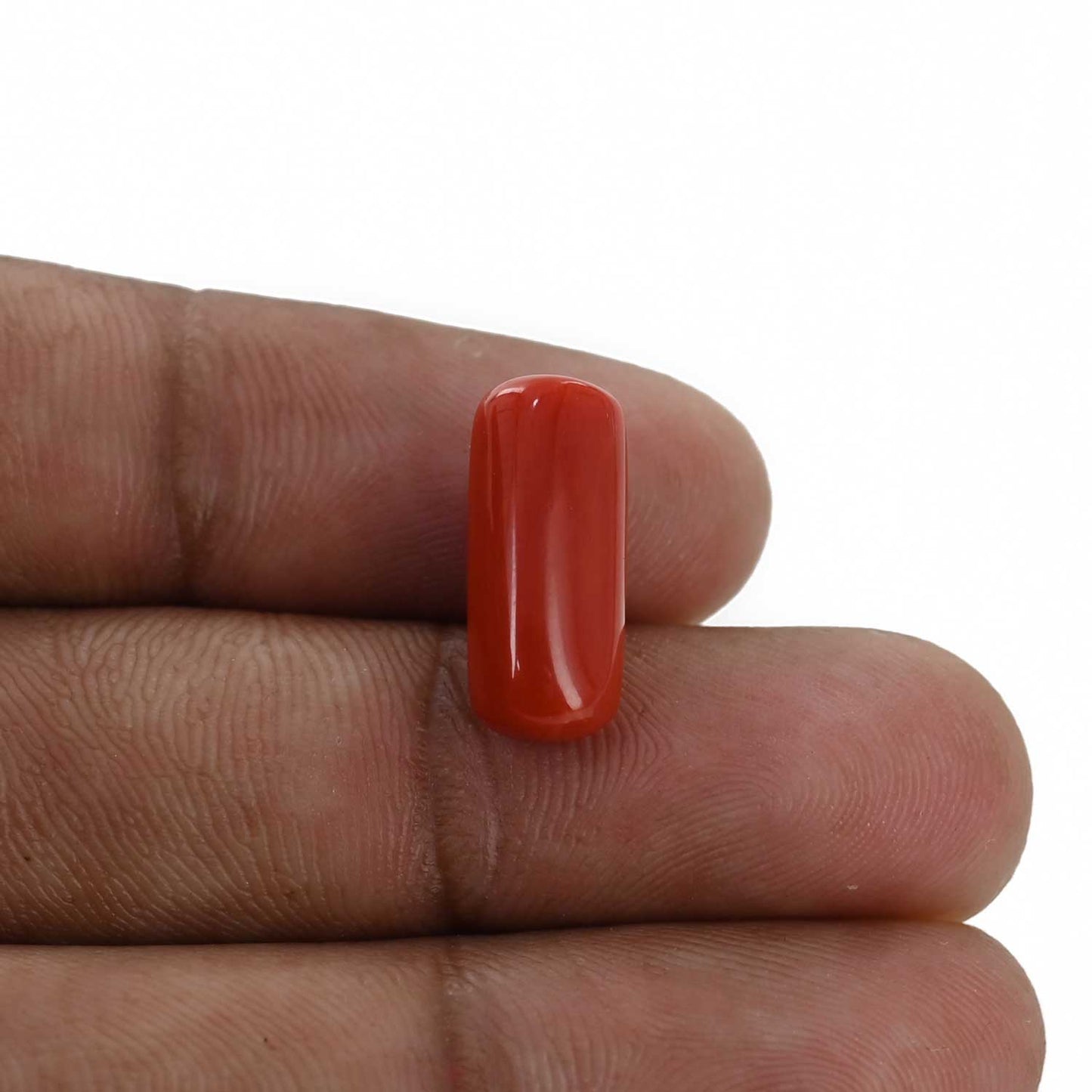 Red Coral (Moonga) - 6.88 Carat