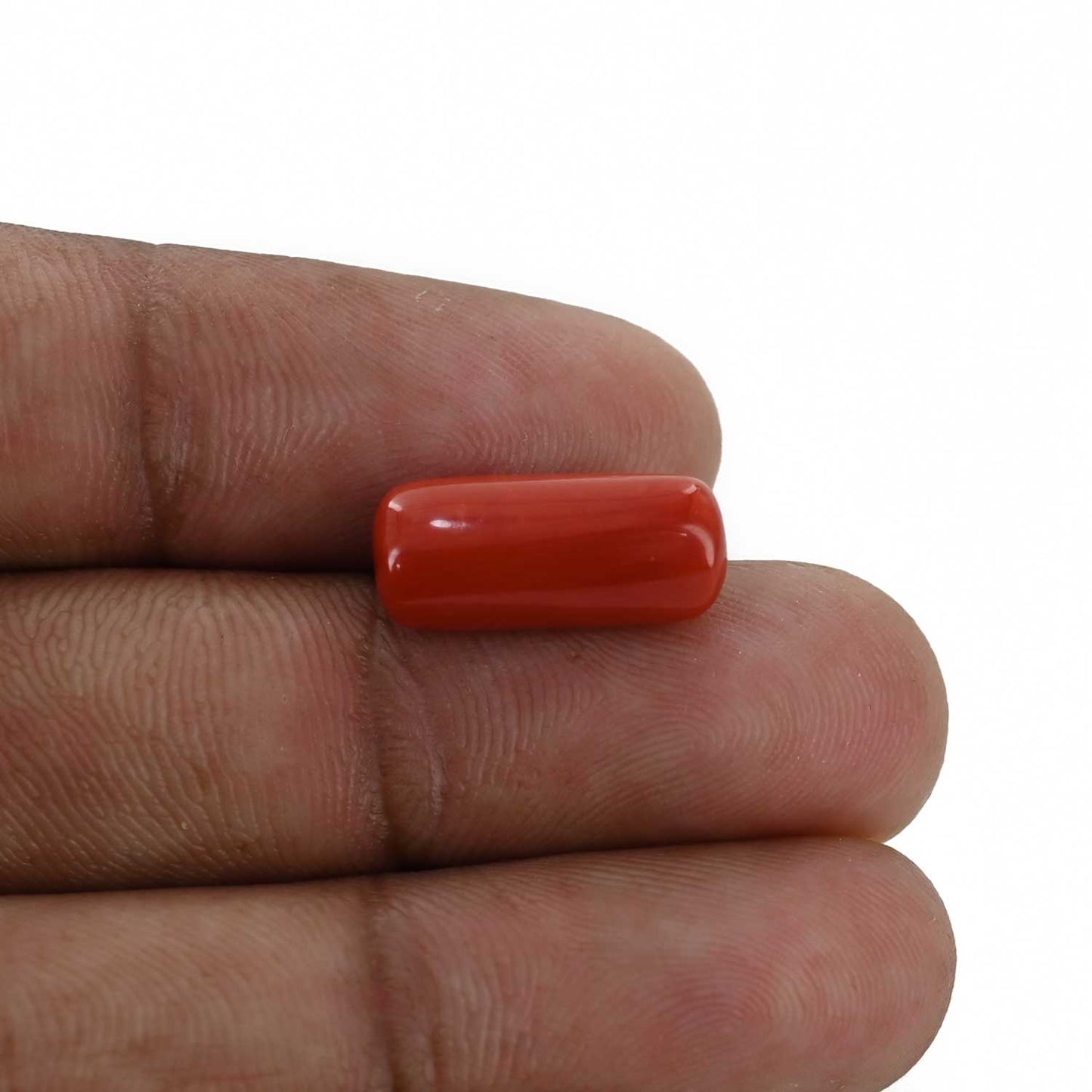 Red Coral (Moonga) - 6.88 Carat