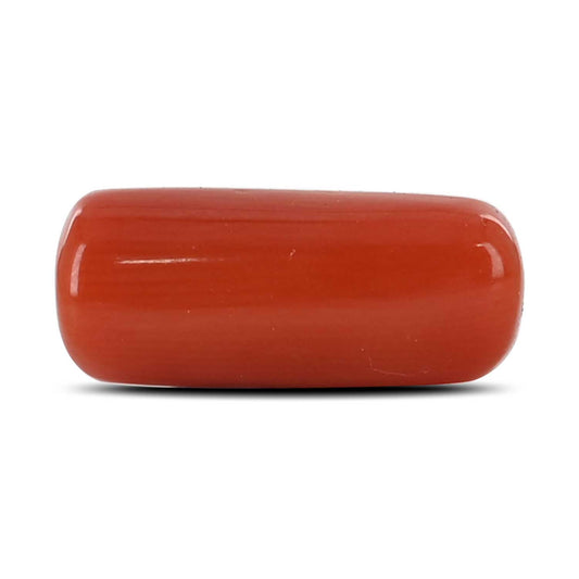 Red Coral (Moonga) - 6.91 Carat