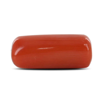 Red Coral (Moonga) - 6.91 Carat