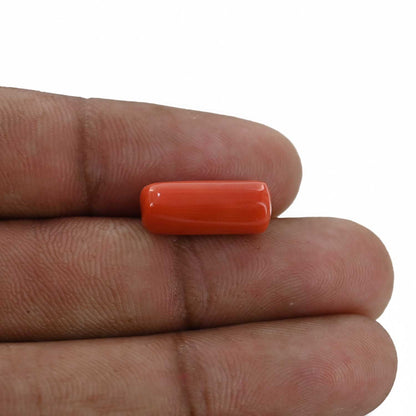 Red Coral (Moonga) - 6.91 Carat