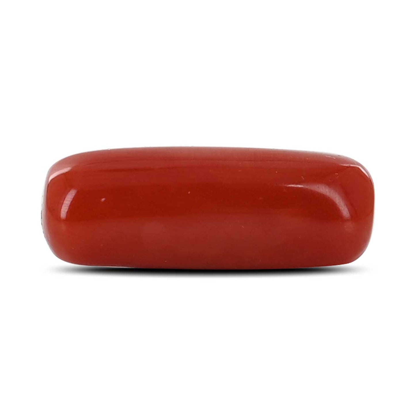 Red Coral (Moonga) - 6.45 Carat
