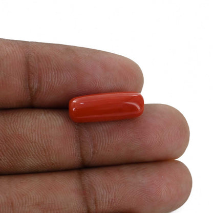 Red Coral (Moonga) - 6.45 Carat
