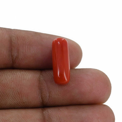 Red Coral (Moonga) - 6.45 Carat