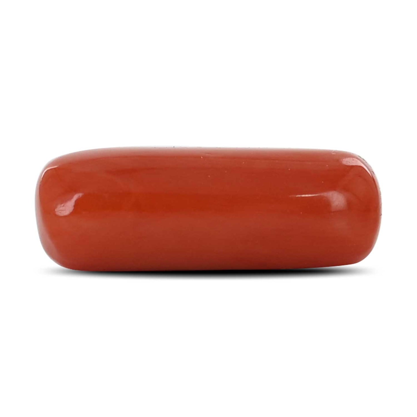Red Coral (Moonga) - 8.03 Carat