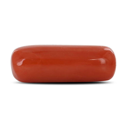 Red Coral (Moonga) - 8.03 Carat