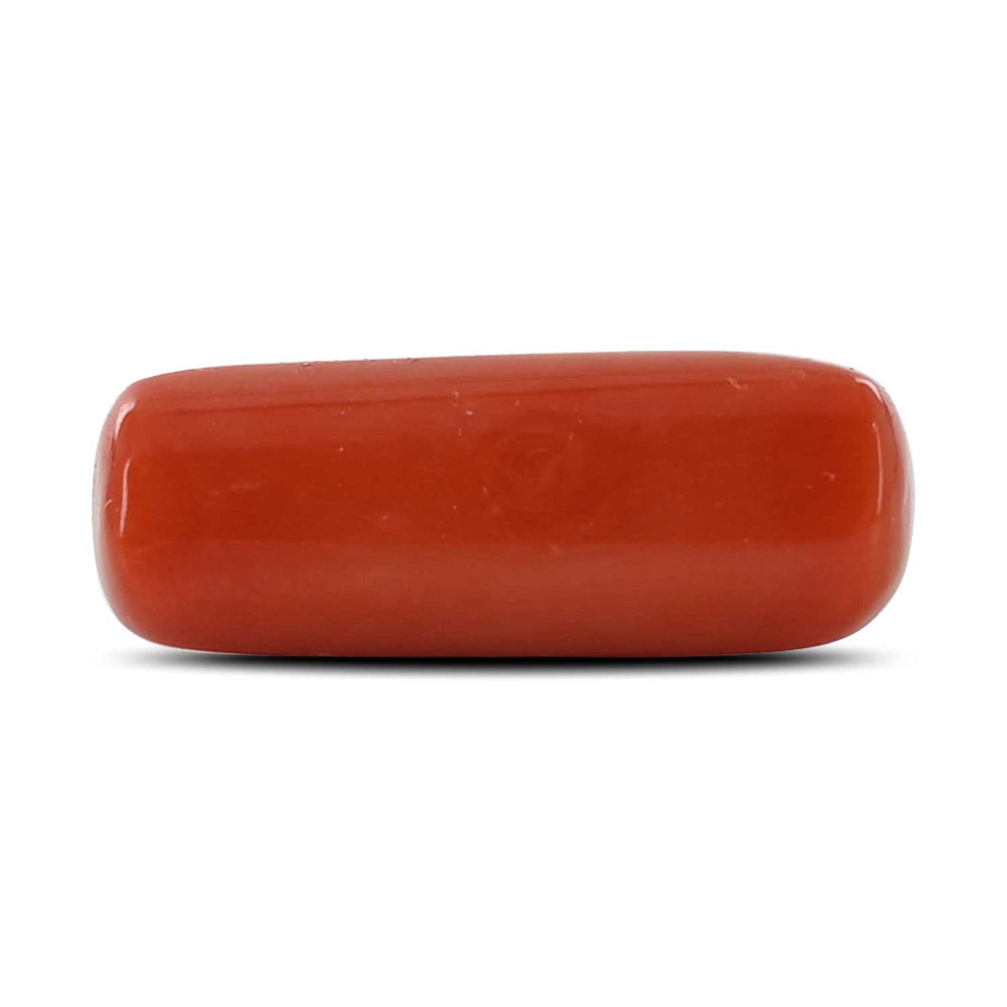Red Coral (Moonga) - 8.03 Carat