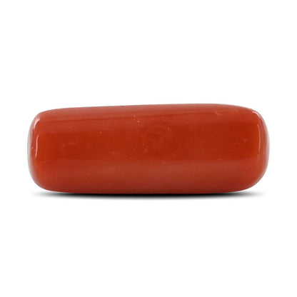 Red Coral (Moonga) - 8.03 Carat
