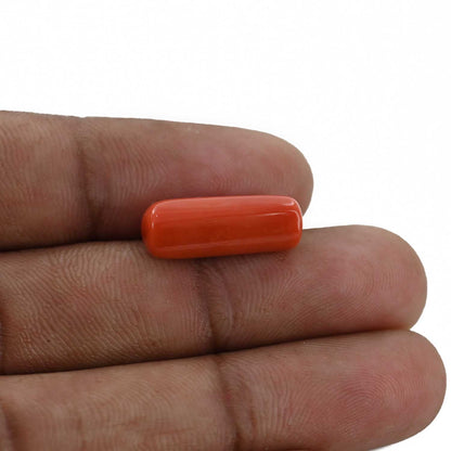 Red Coral (Moonga) - 8.03 Carat