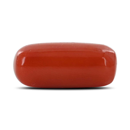 Red Coral (Moonga) - 6.43 Carat