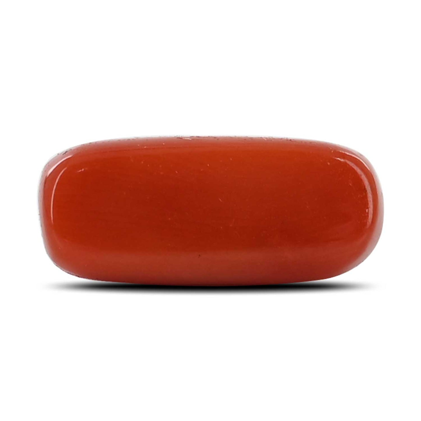 Red Coral (Moonga) - 6.43 Carat