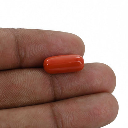 Red Coral (Moonga) - 6.43 Carat