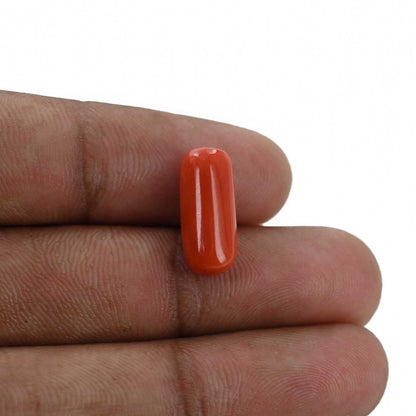 Red Coral (Moonga) - 6.43 Carat