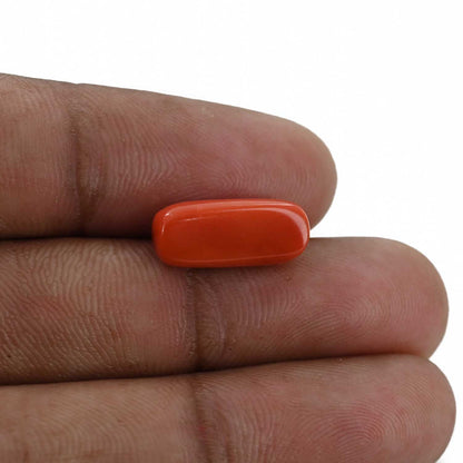 Red Coral (Moonga) - 6.43 Carat