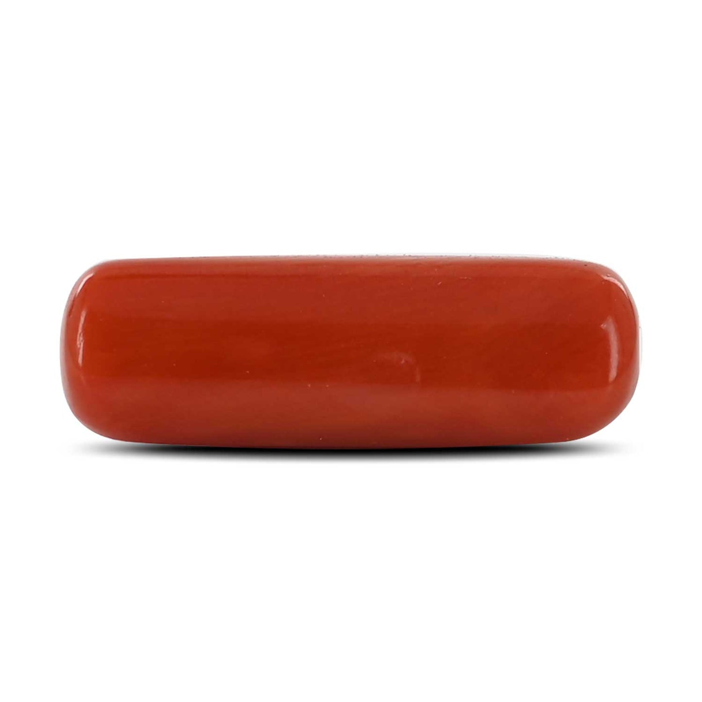 Red Coral (Moonga) - 7.82 Carat