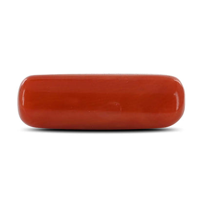 Red Coral (Moonga) - 7.82 Carat