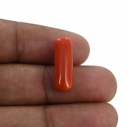 Red Coral (Moonga) - 7.82 Carat